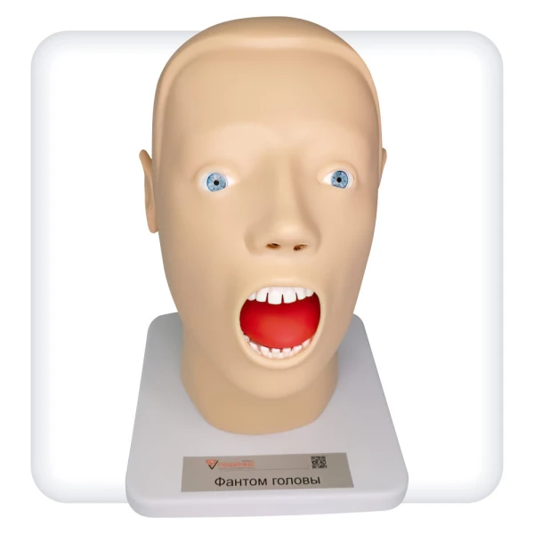 Фантом головы