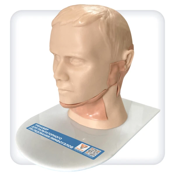 Тренажер для пальпаторного обследования лимфоузлов